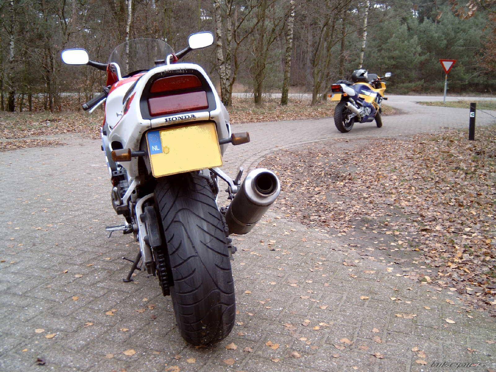 Photo 100083