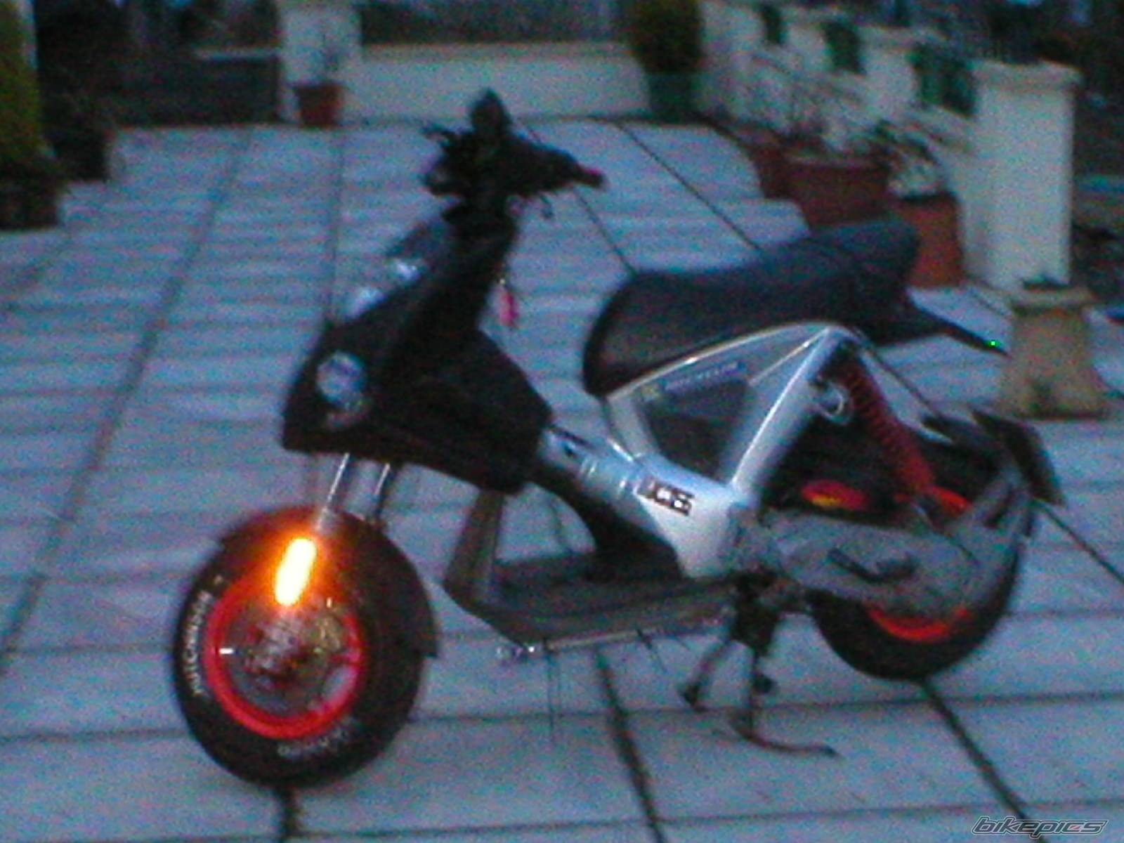 Photo 100087