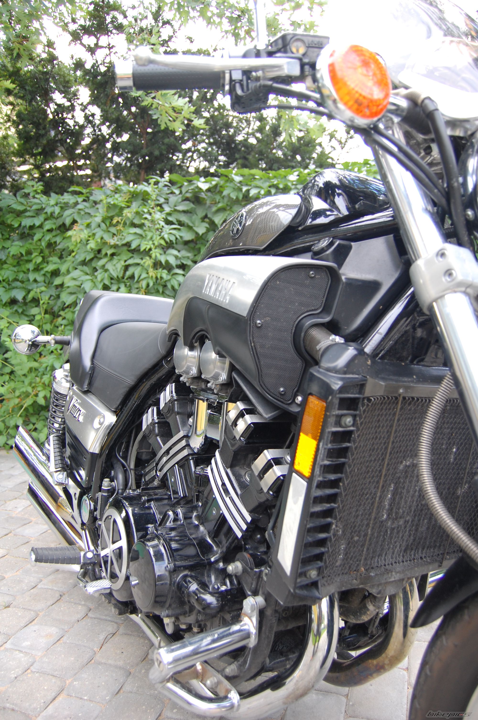 Photo 1000870