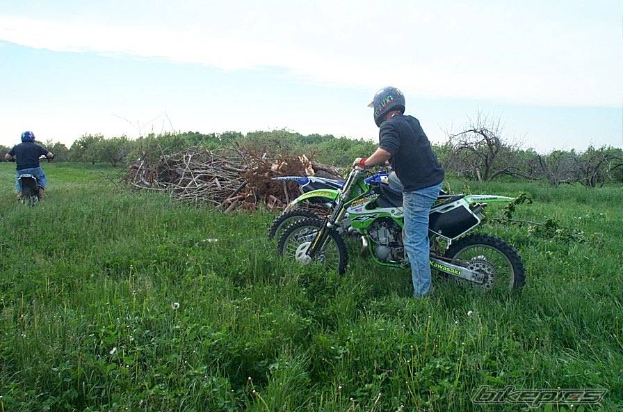 Photo 10009