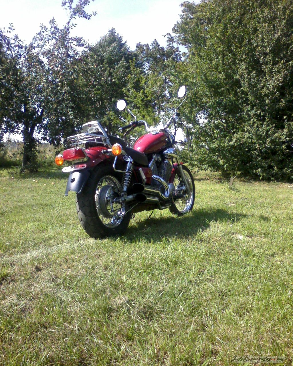 Photo 1000933