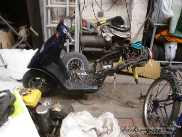 Photo 1000944
