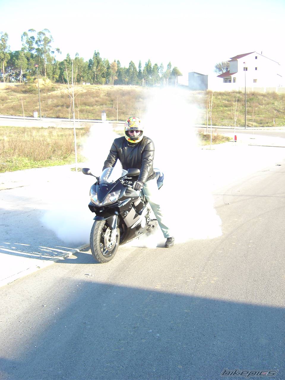 Photo 100096