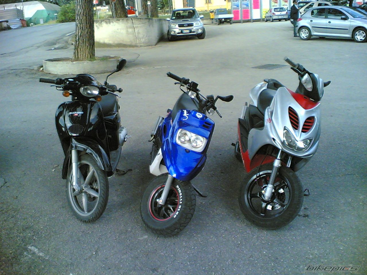 Photo 1000991