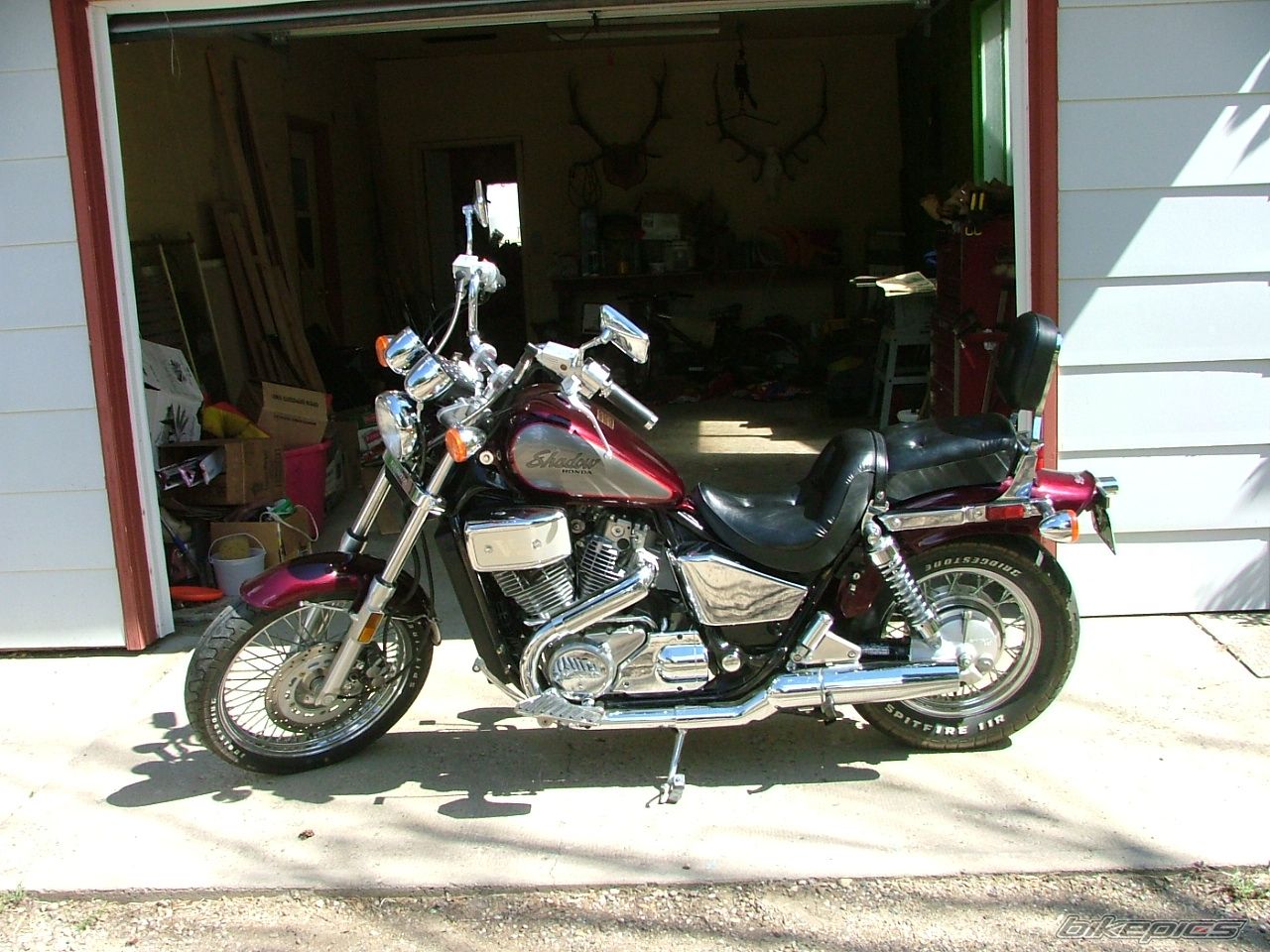 Photo 1001015