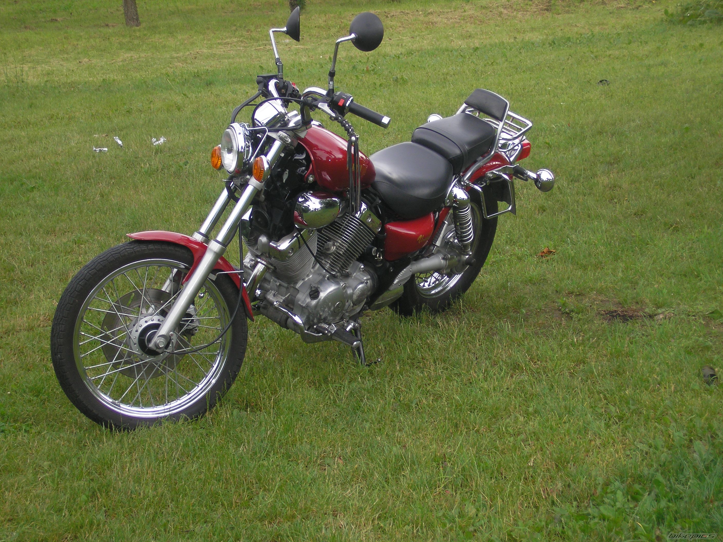 Photo 1001022