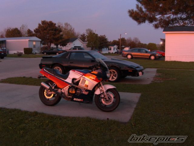 Photo 1001064