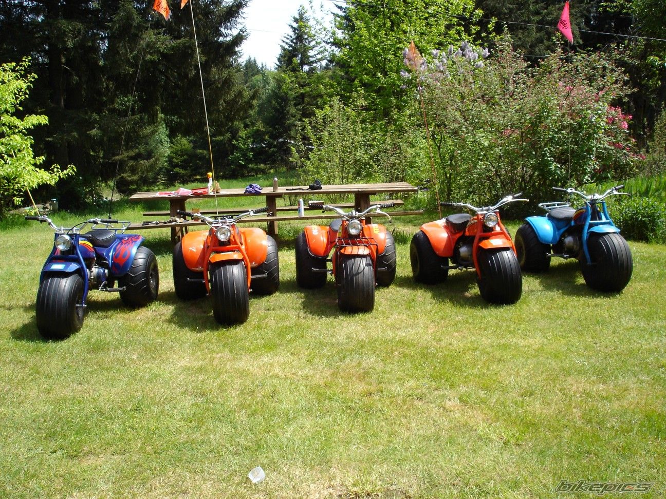 Photo 1001117