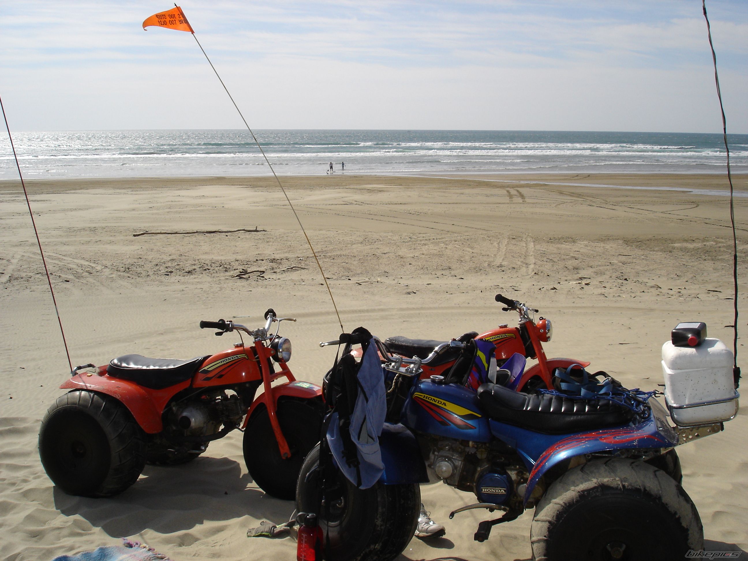 Photo 1001119