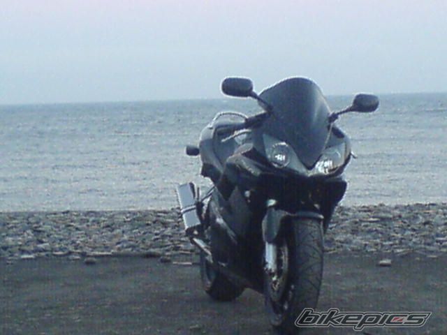 Photo 1001126