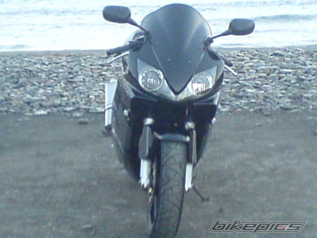 Photo 1001131