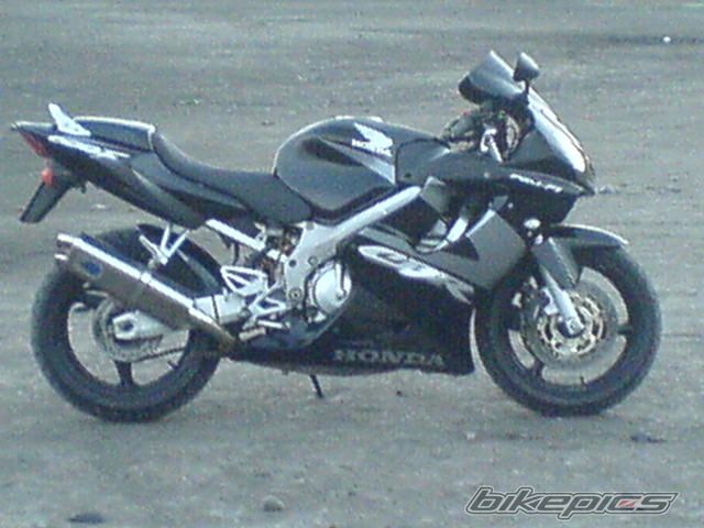 Photo 1001133