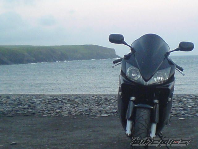Photo 1001135