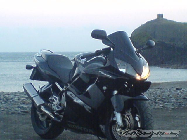 Photo 1001136