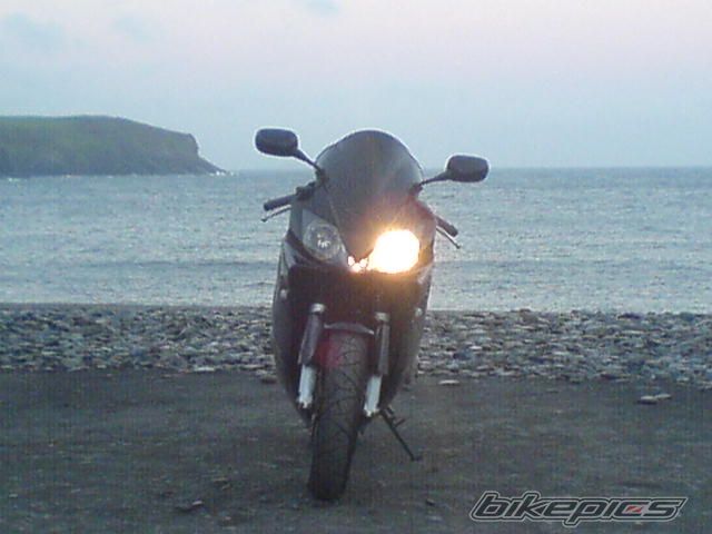Photo 1001137