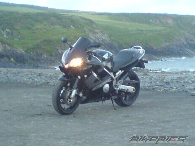 Photo 1001138