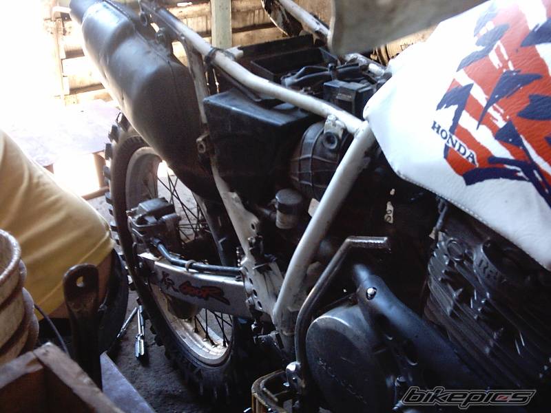 Bike Photo 100118