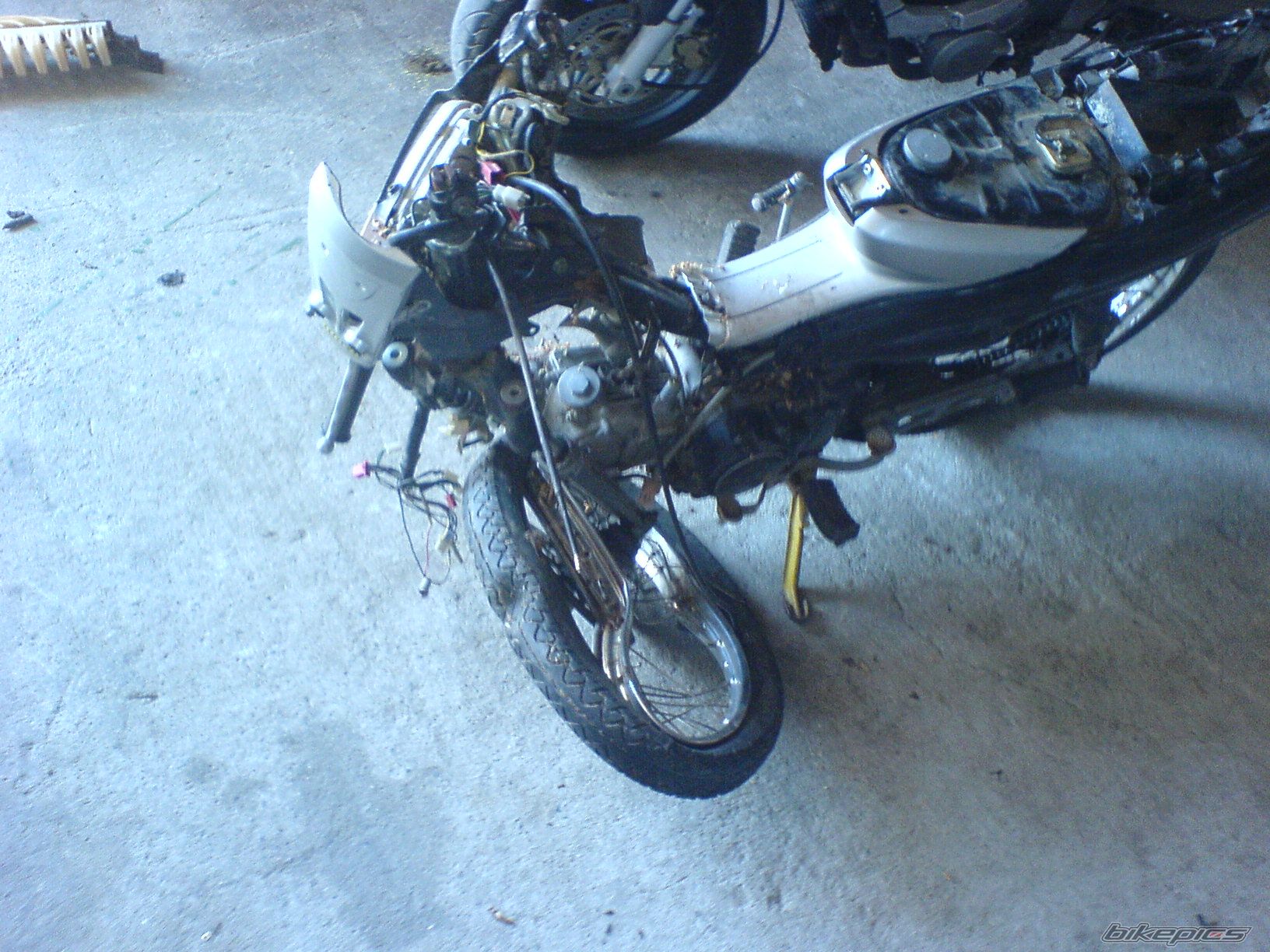 Photo 1001227