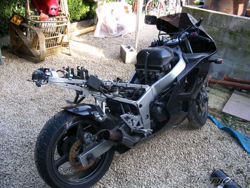 Photo 1001257