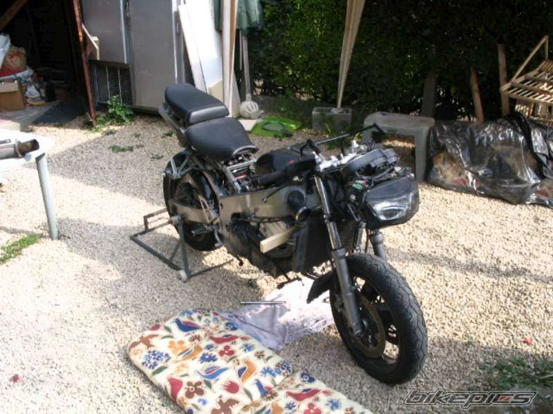 Photo 1001258