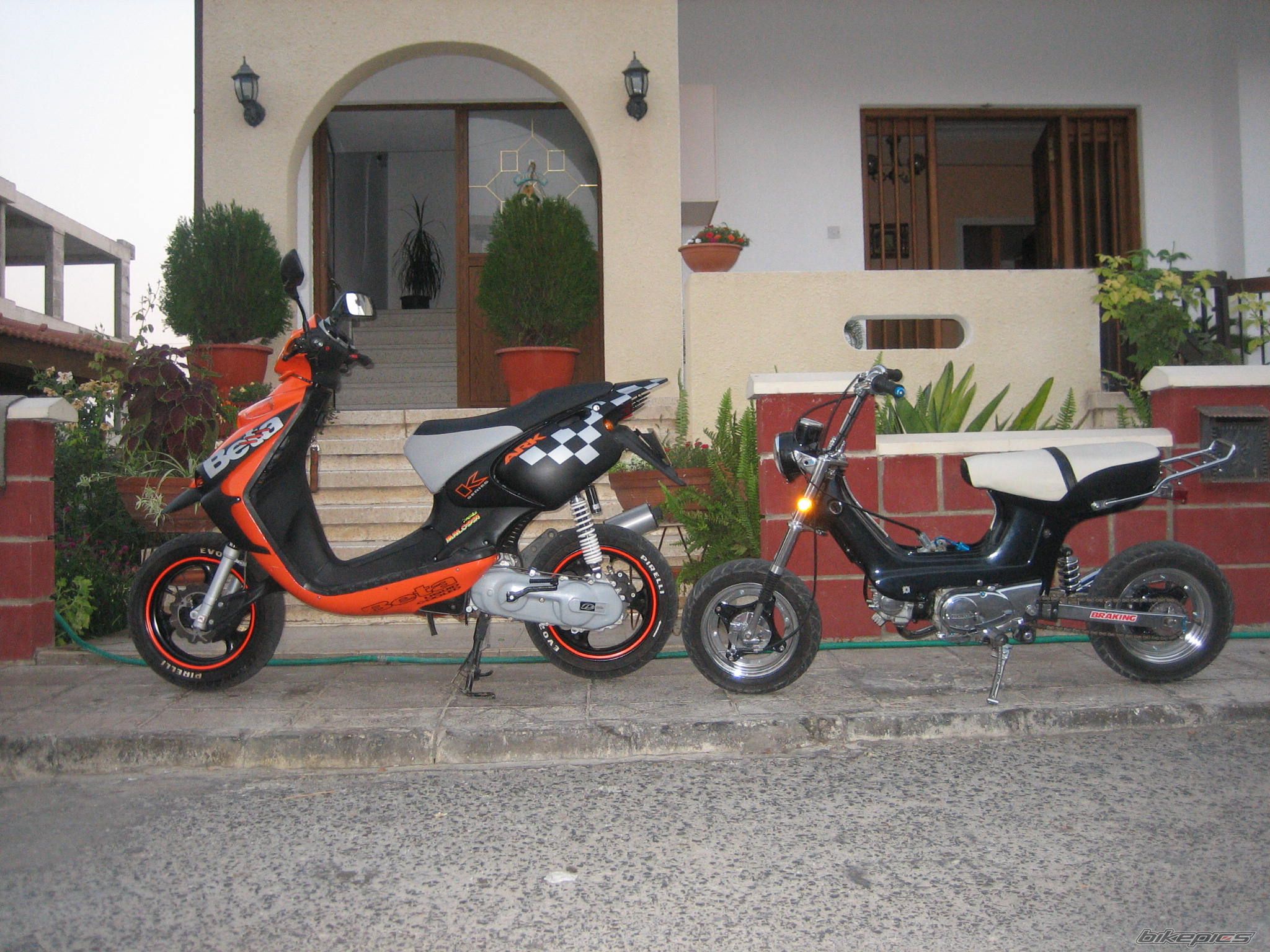 Photo 1001264