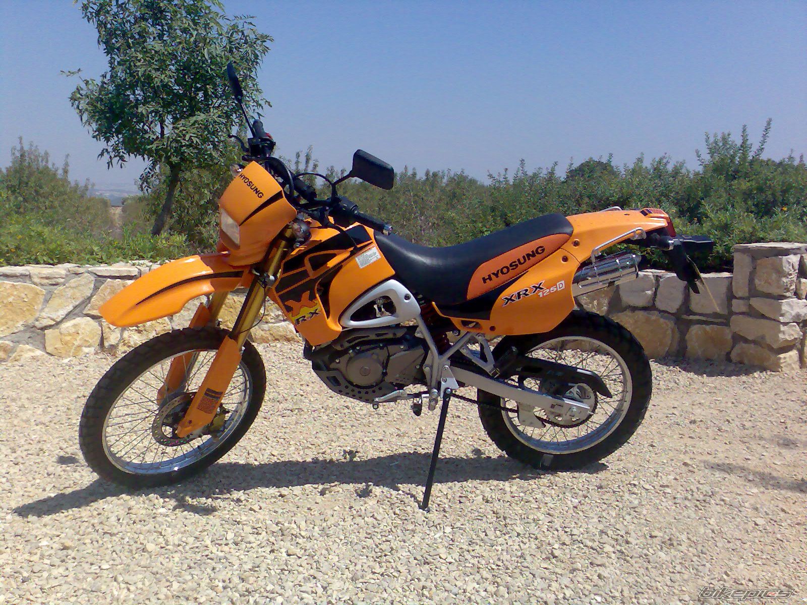 Photo 1001292