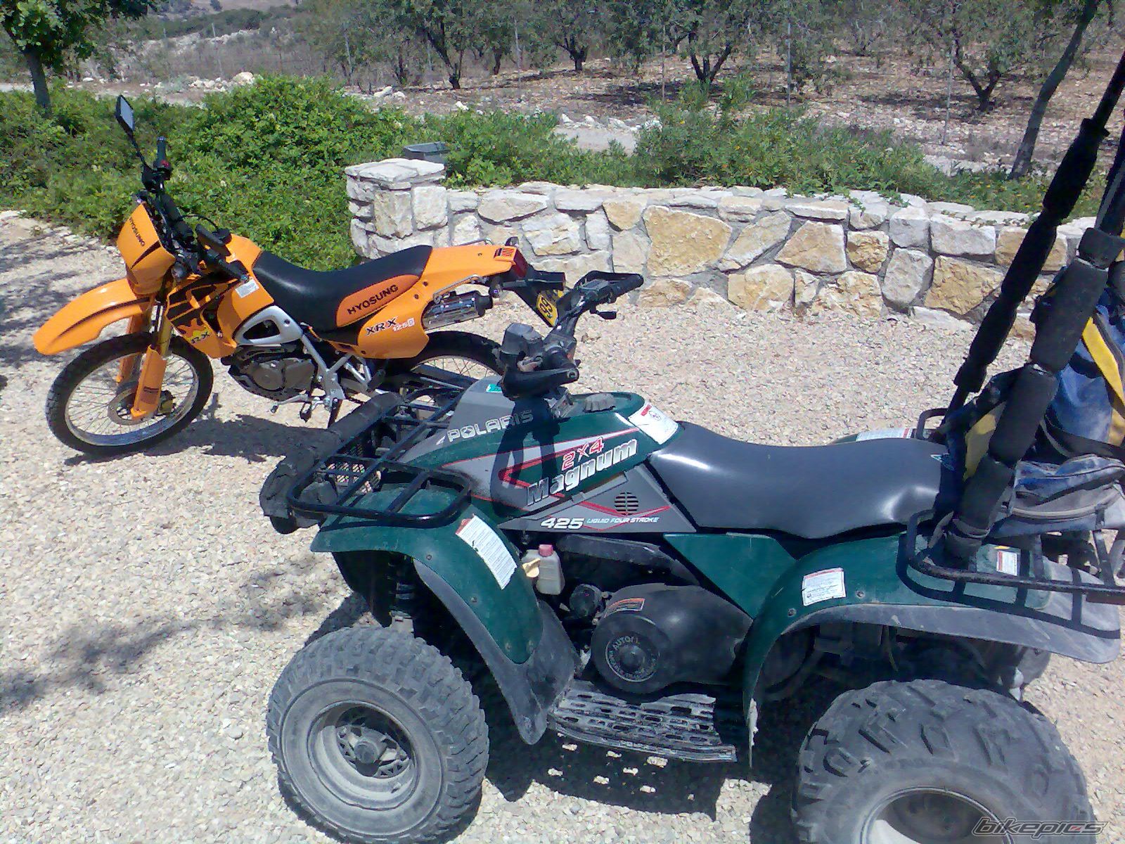 Photo 1001293