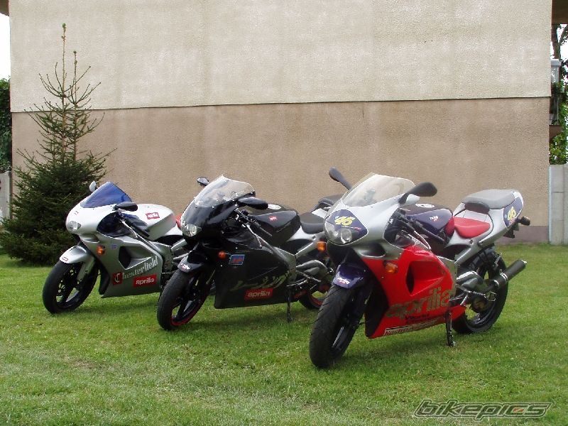 Photo 1001320