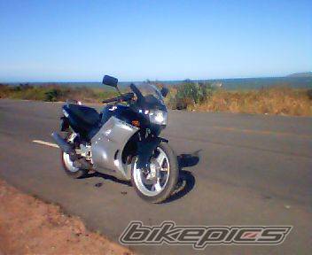 Photo 100135