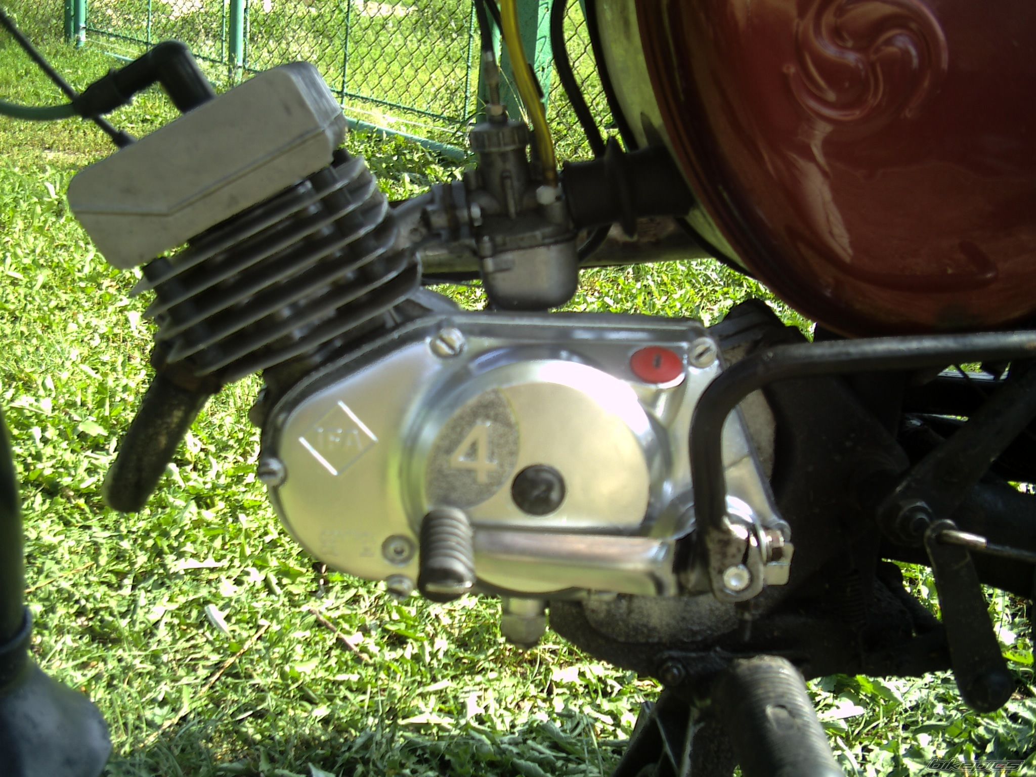 Photo 1001369
