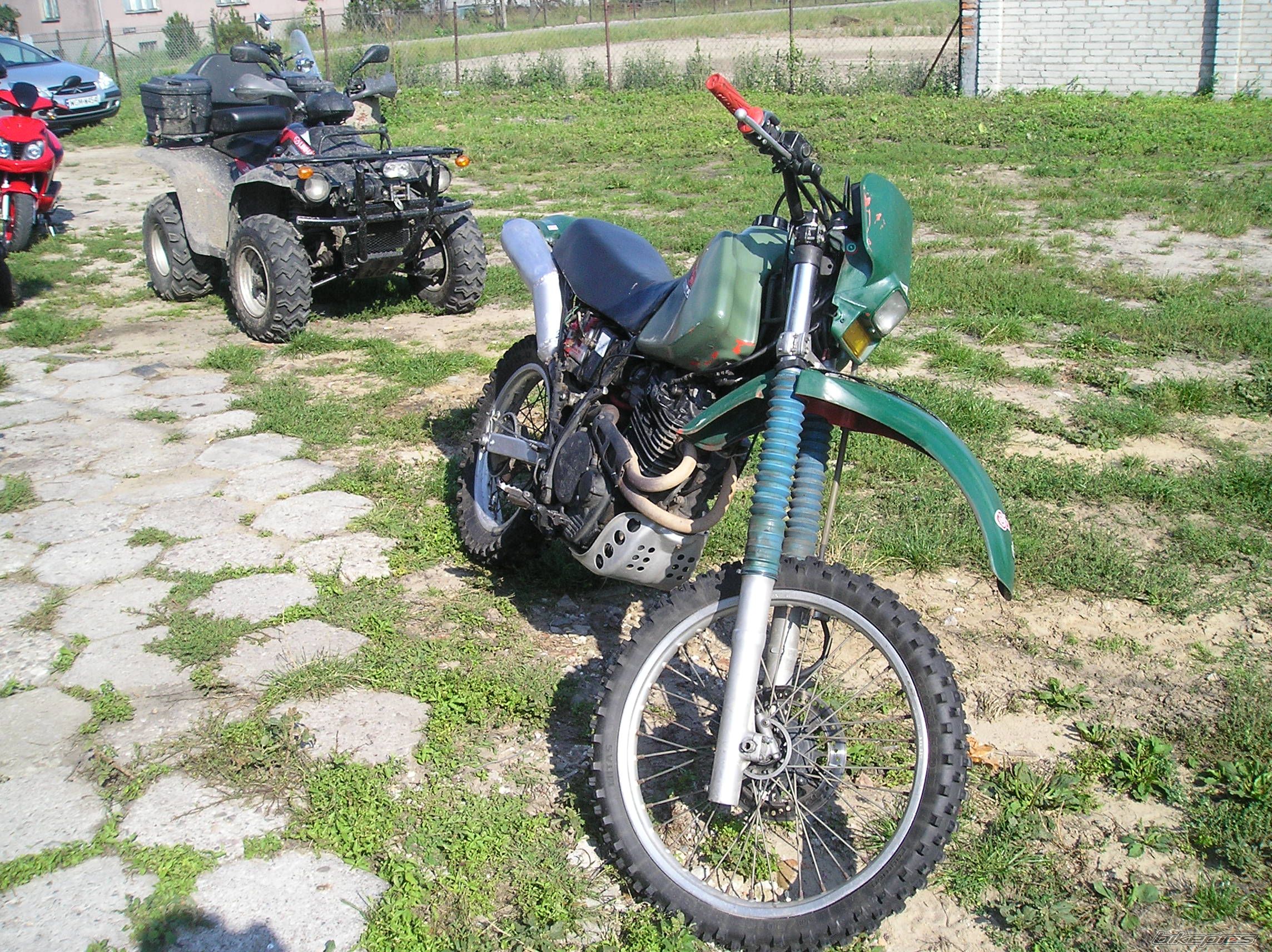 Photo 1001376