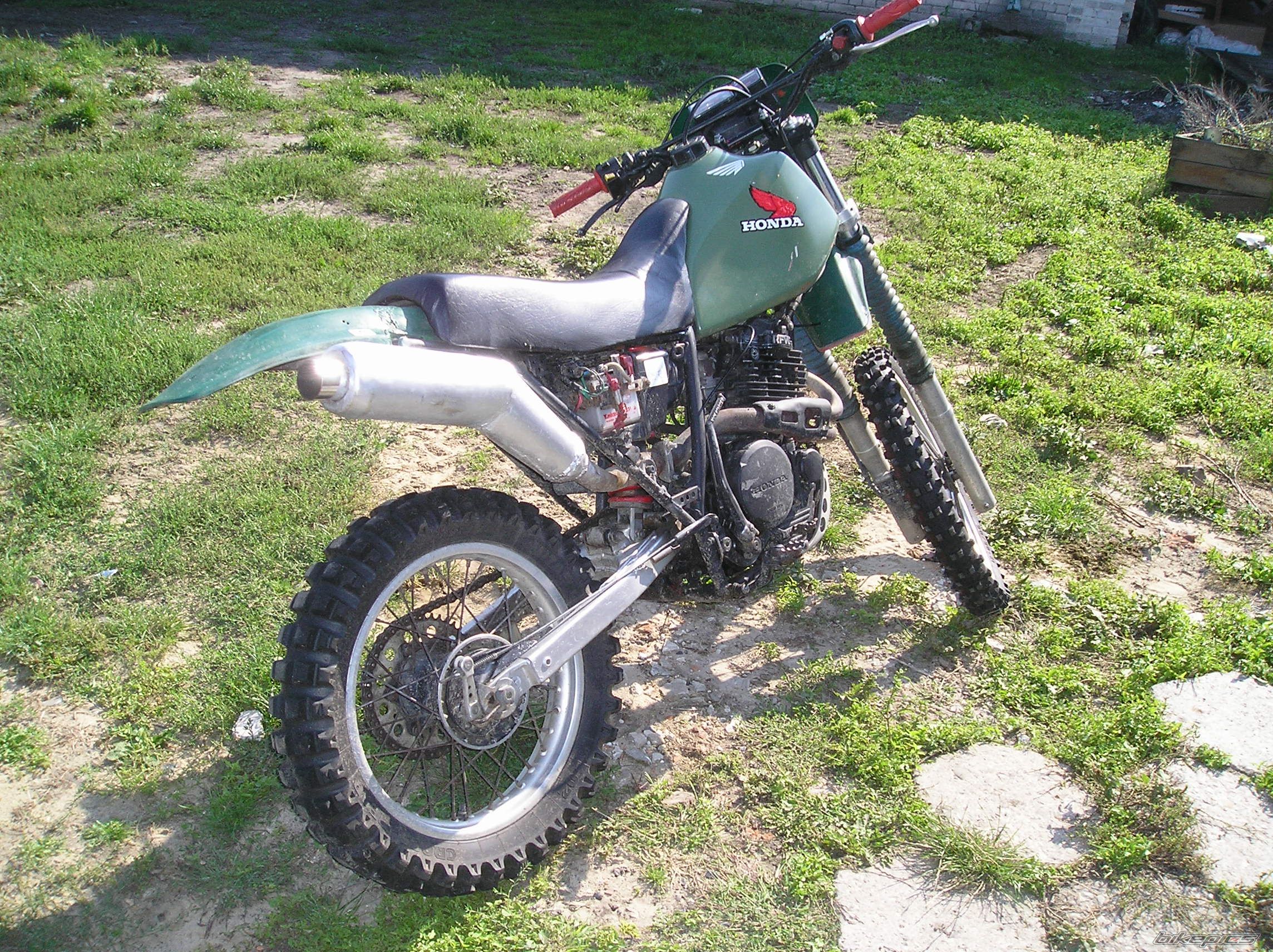 Photo 1001380