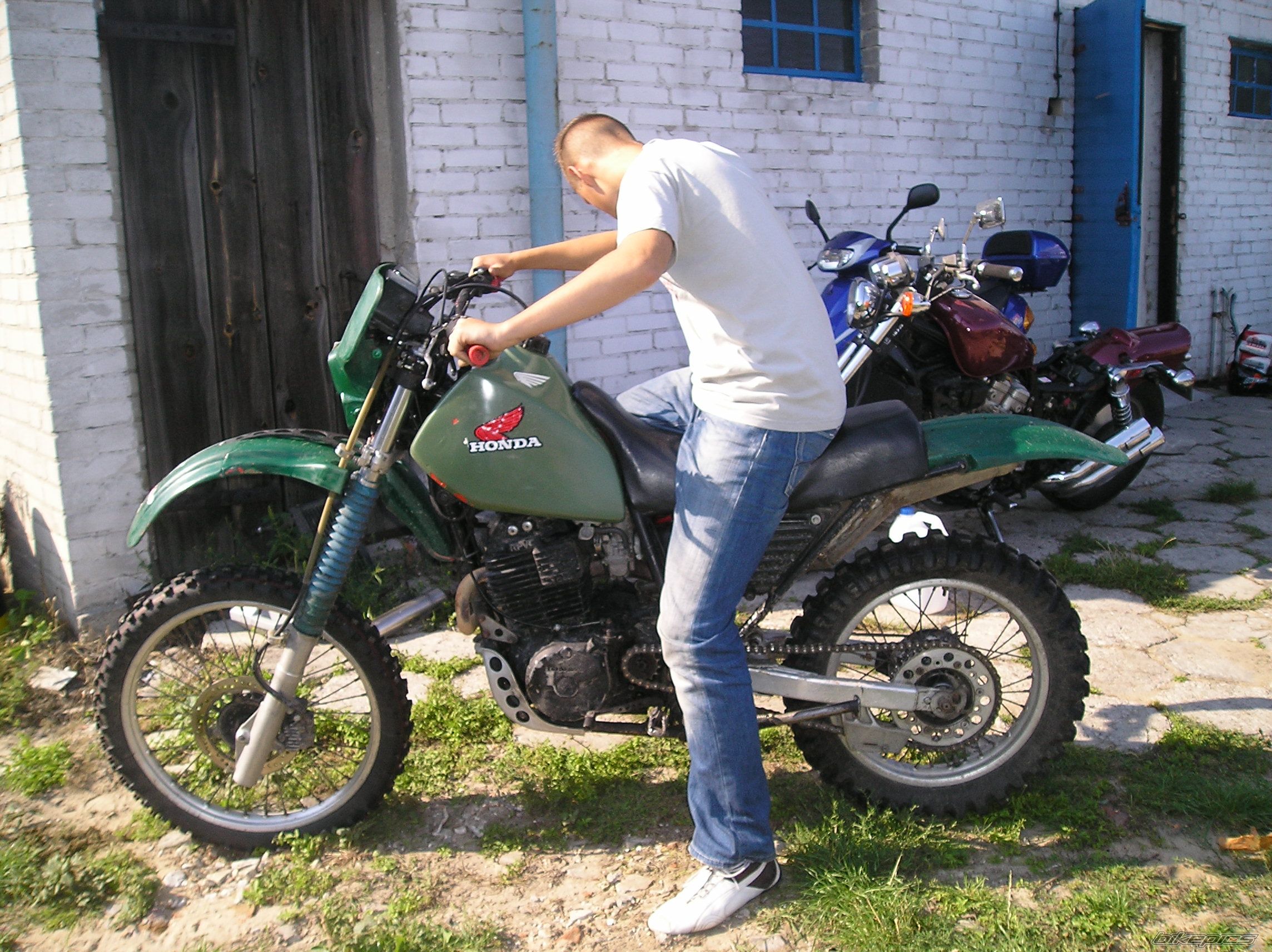 Photo 1001383
