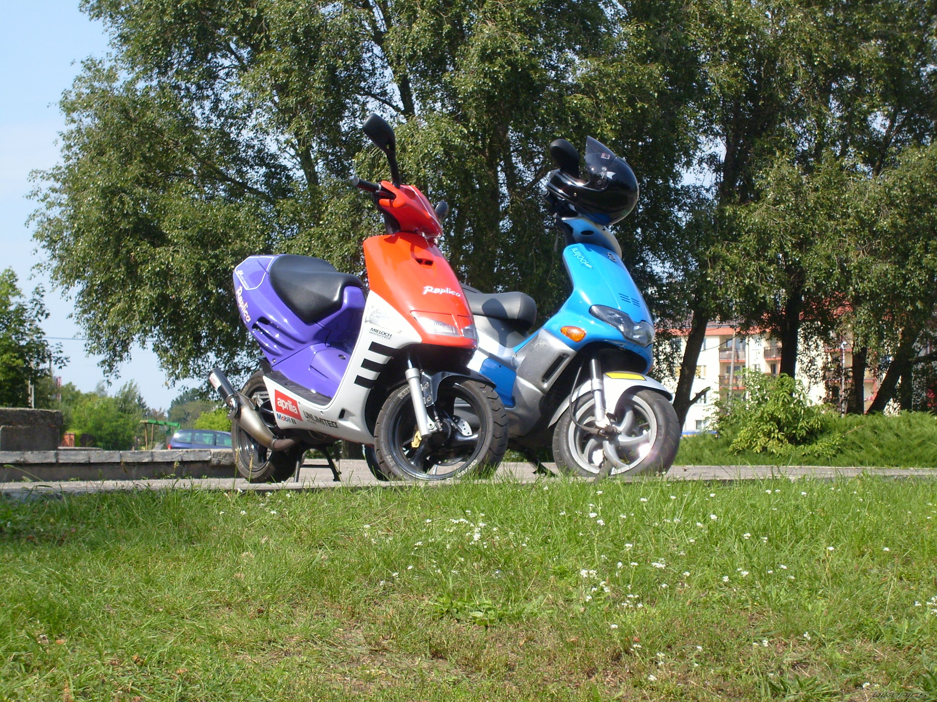 Photo 1001421