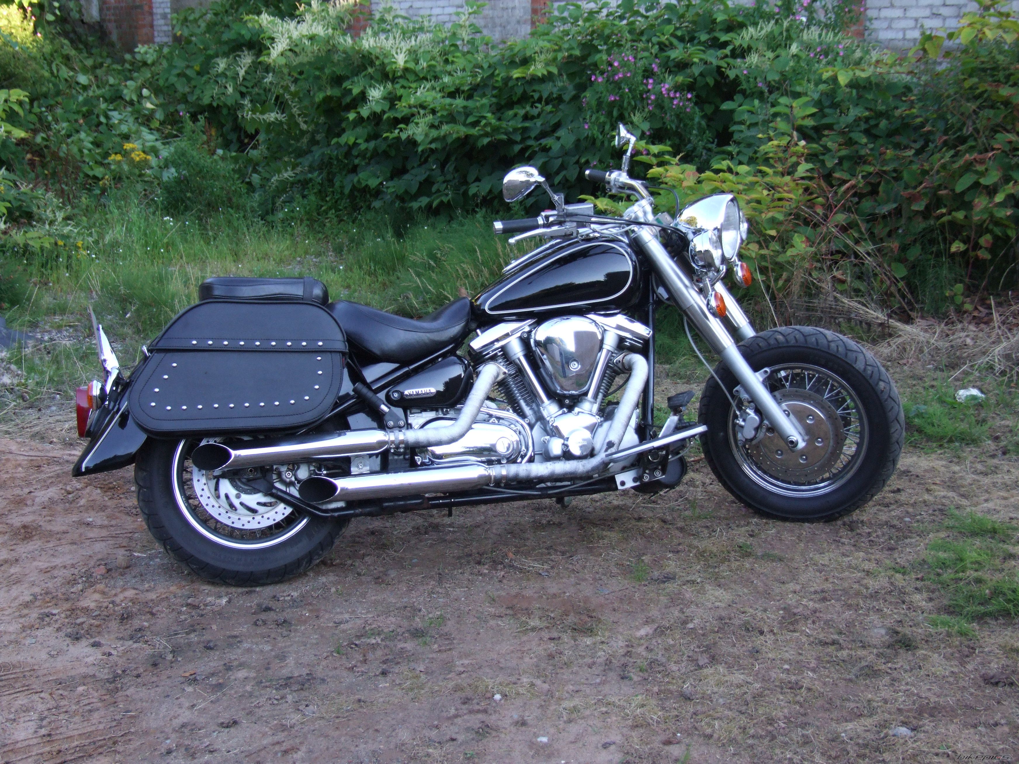 Photo 1001422