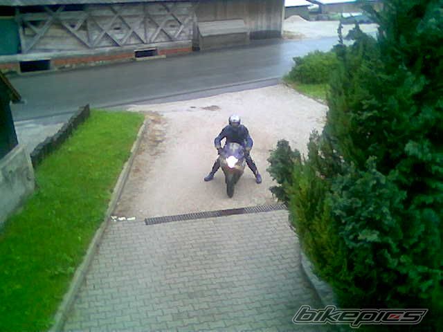 Photo 1001429