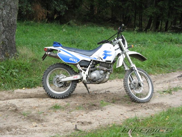Photo 1001435
