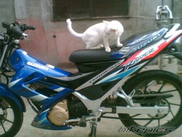 Bike Photo 1001441
