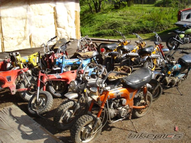 Photo 1001450