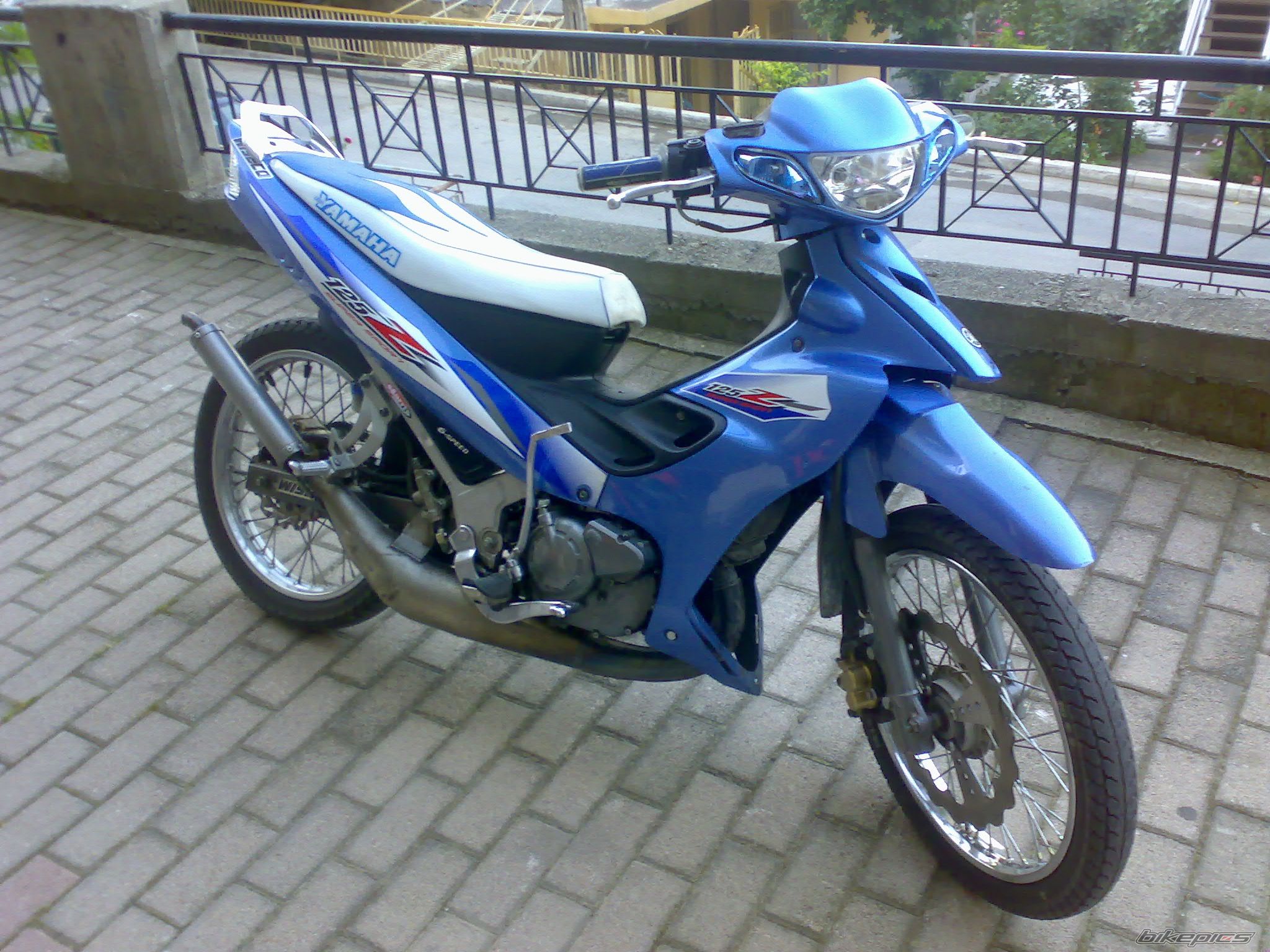 Photo 1001479