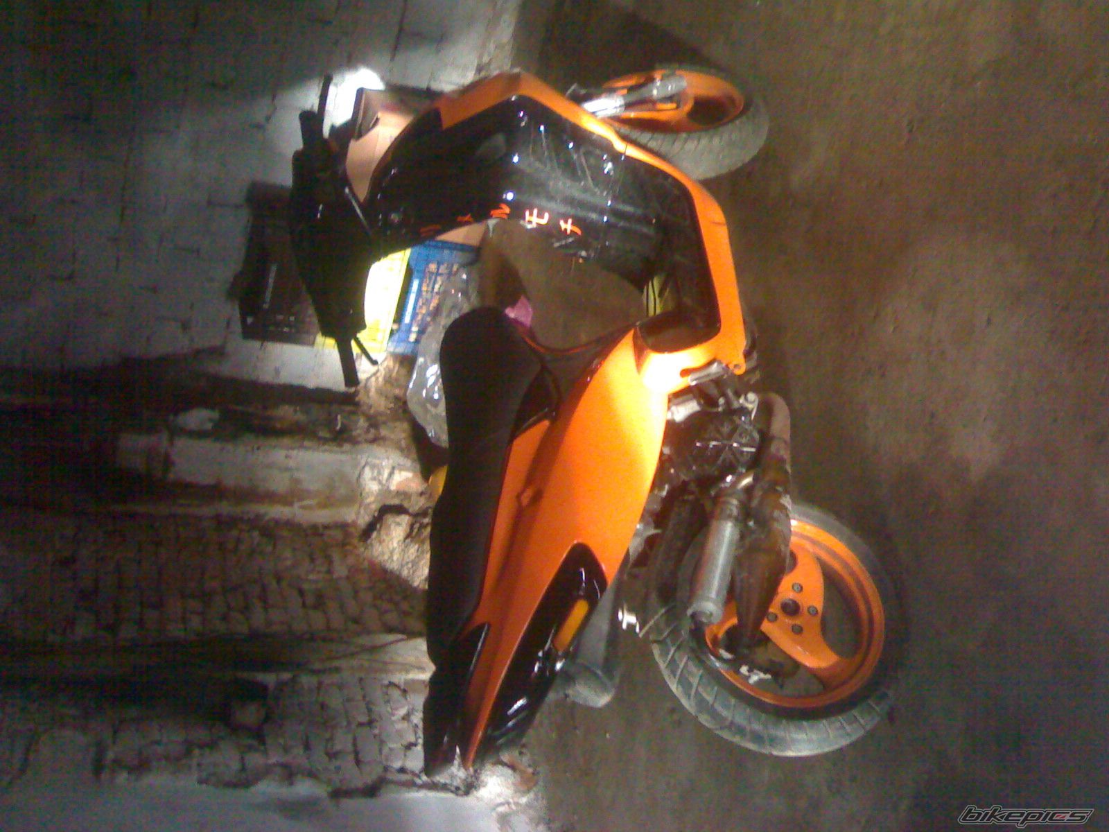 Photo 1001481