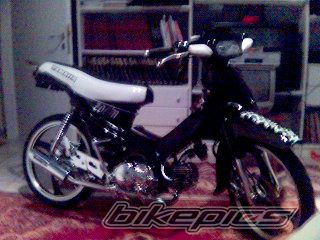 Photo 1001482