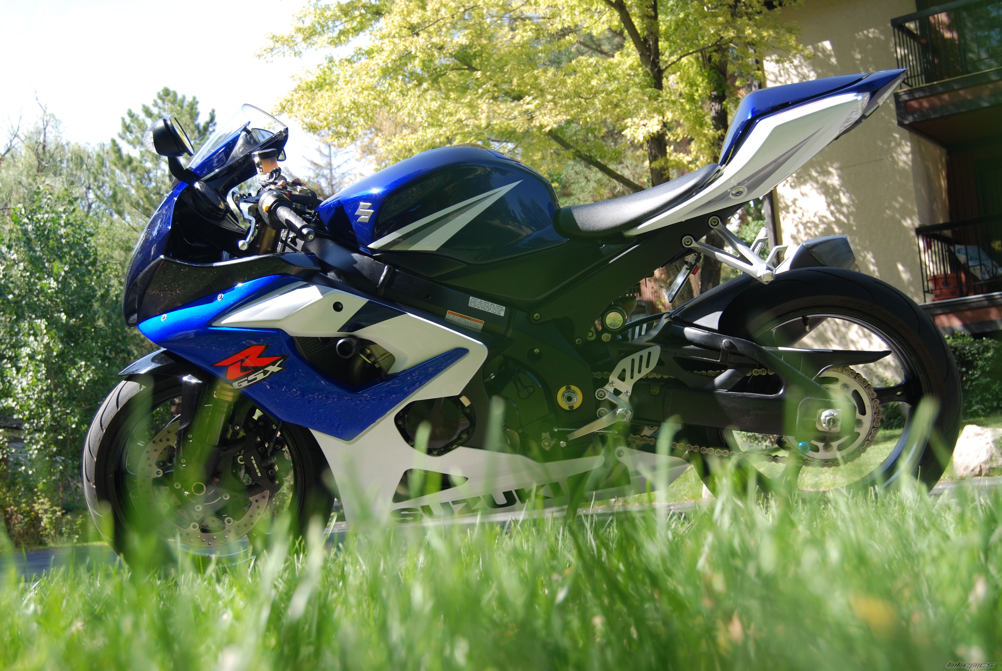 Photo 1001488