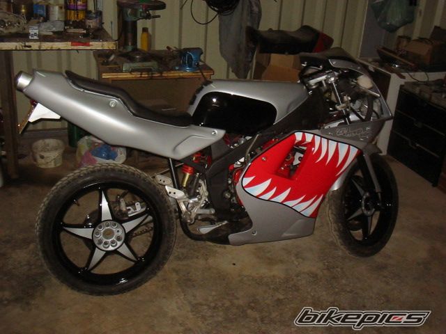 Photo 1001498