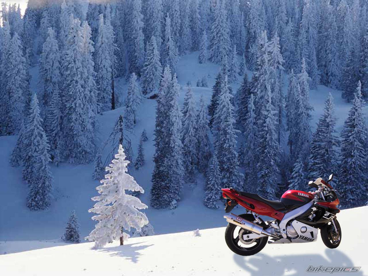 Bike Photo 10015