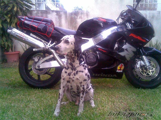 Photo 1001500