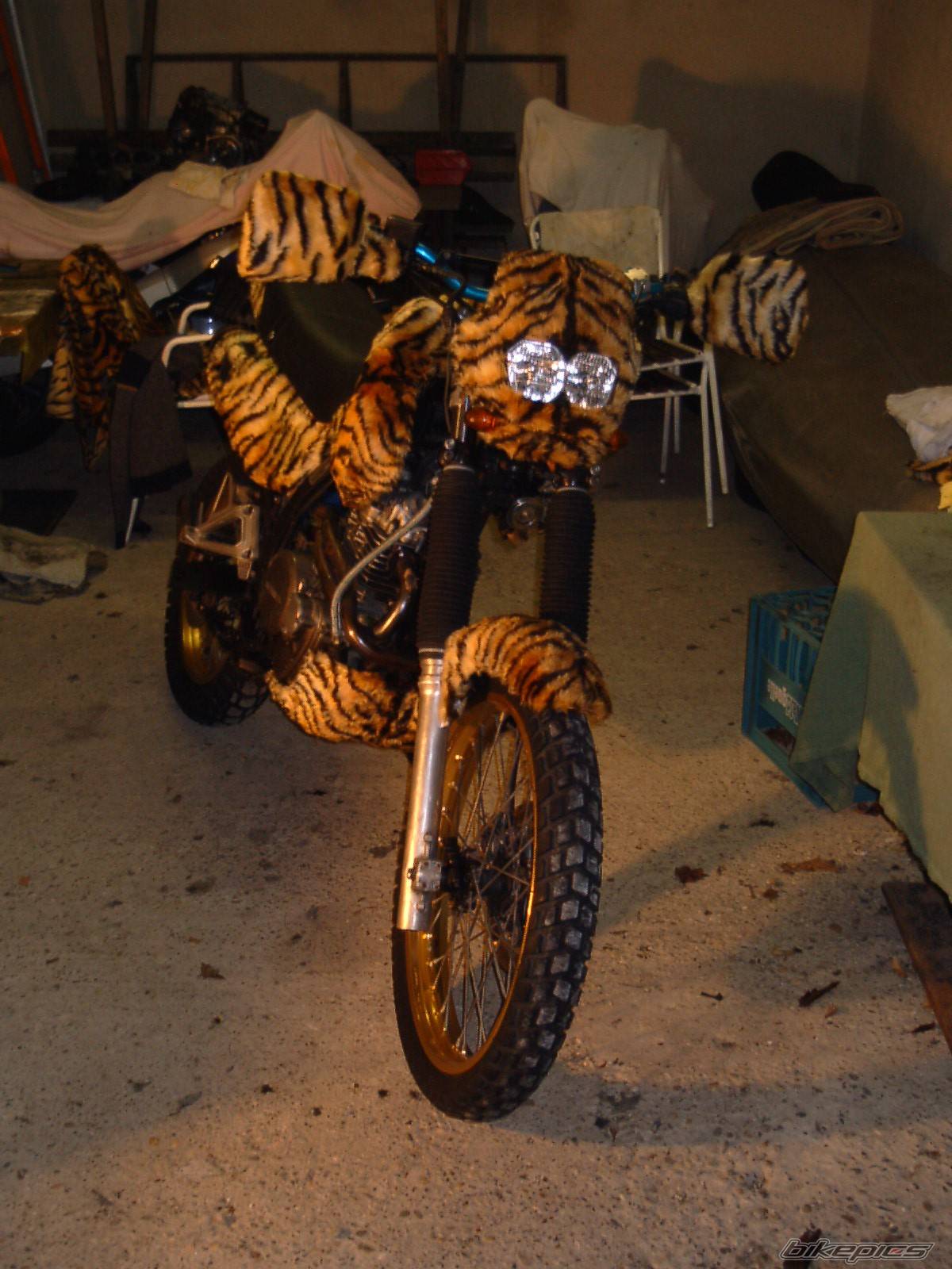 Bike Photo 100152