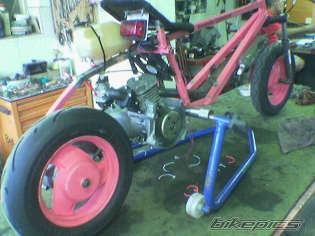 Photo 1001576