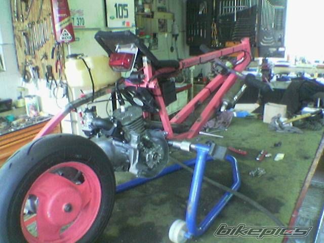 Photo 1001582
