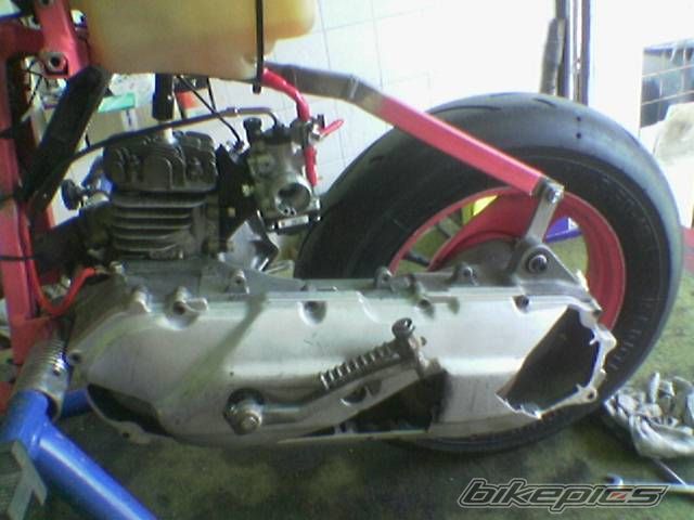 Photo 1001587